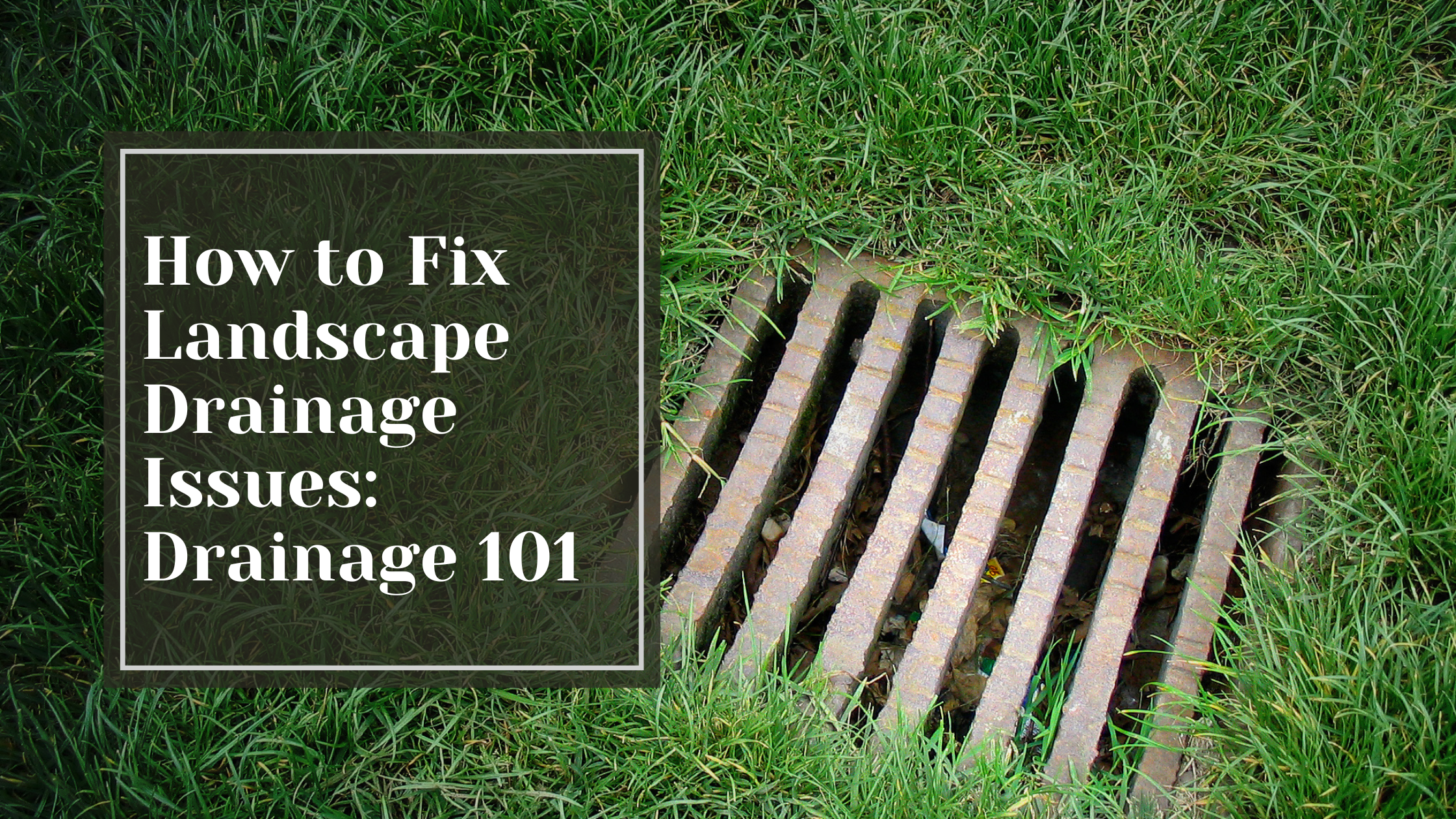How to Fix Landscape Drainage Issues: Drainage 101