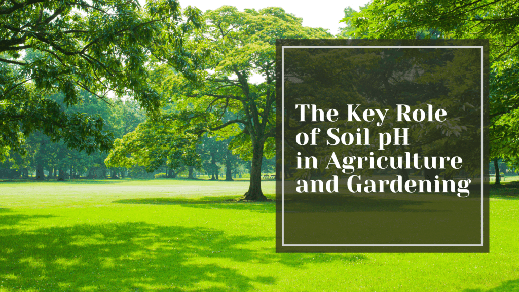 Creating the Perfect Soil pH for Your Healthy Landscape Plants