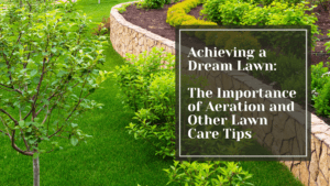 Achieving a Dream Lawn: The Importance of Aeration and Other Lawn Care Tips