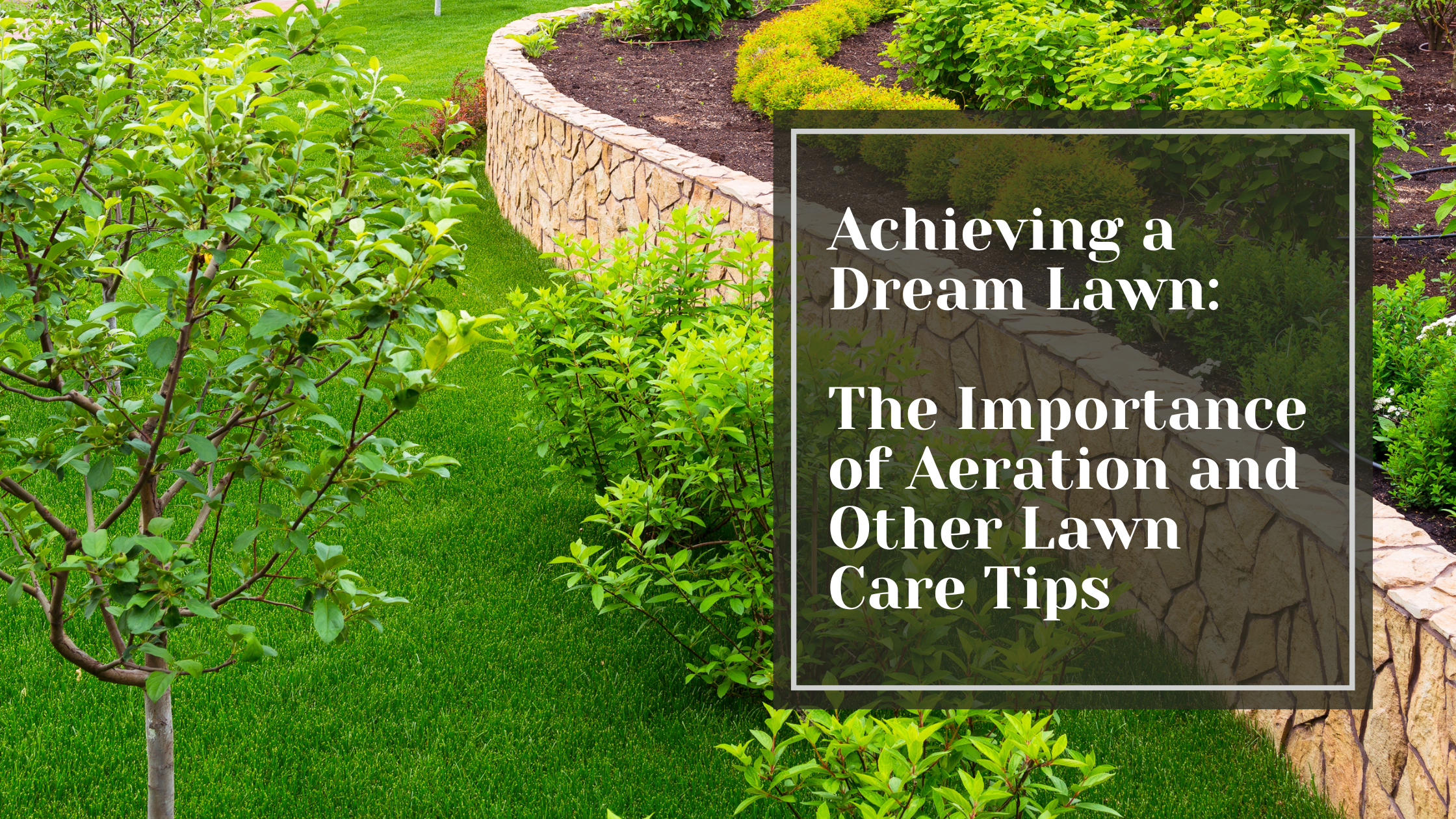 The Importance of Lawn Aeration: Achieving a Dream Lawn