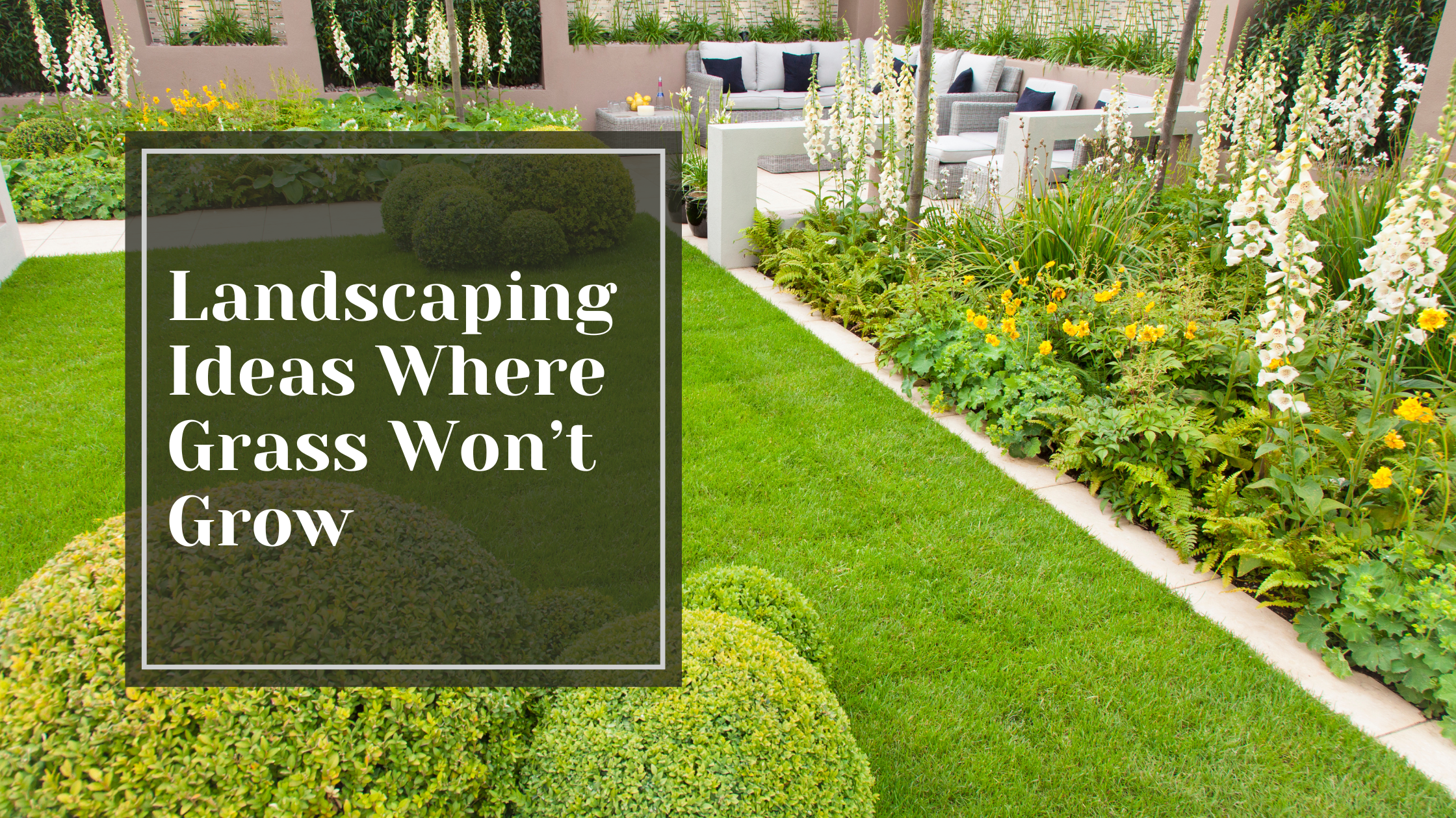 Landscaping Ideas Where Grass Won’t Grow