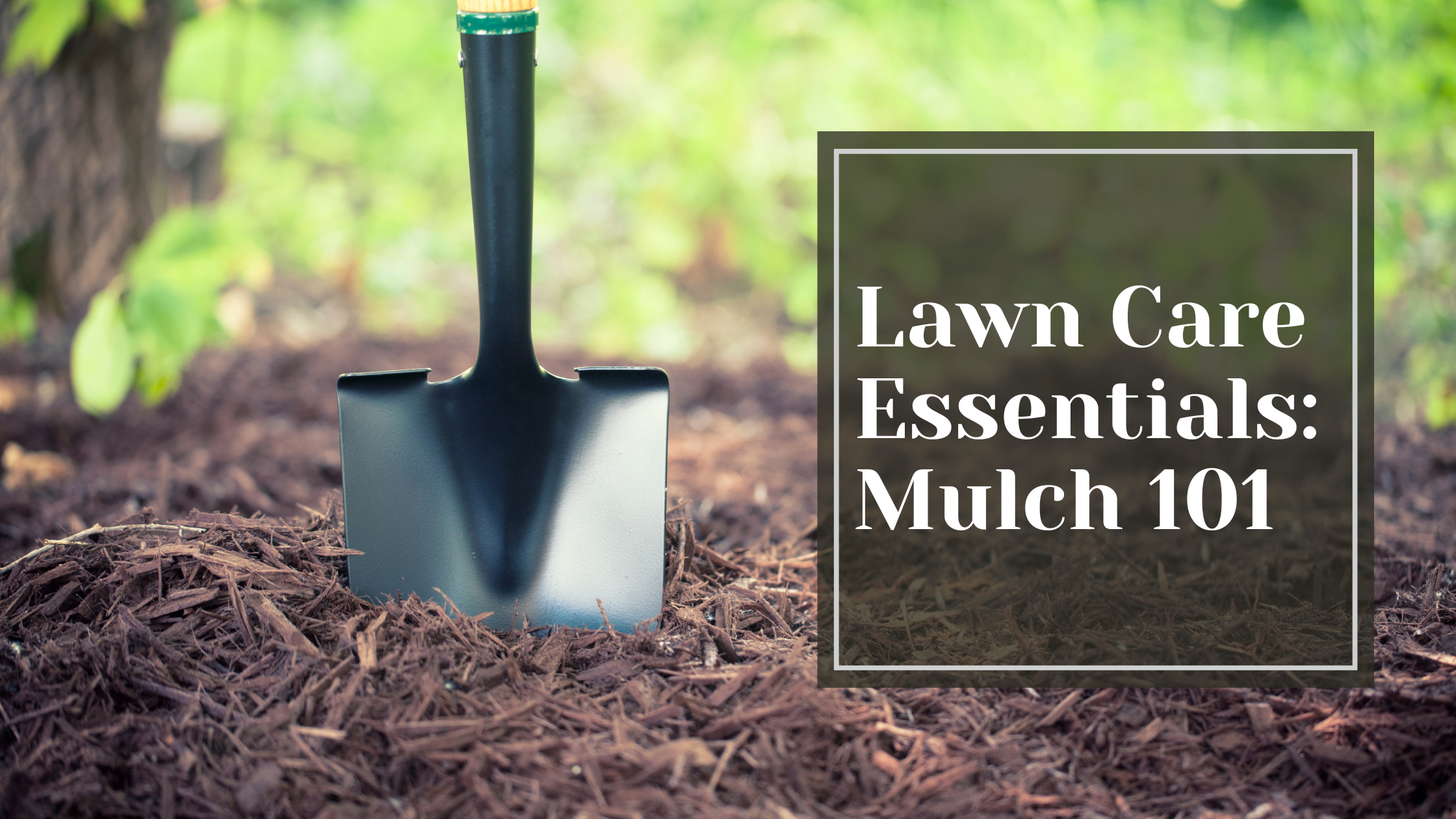 Mulch 101: Lawn Care Essentials