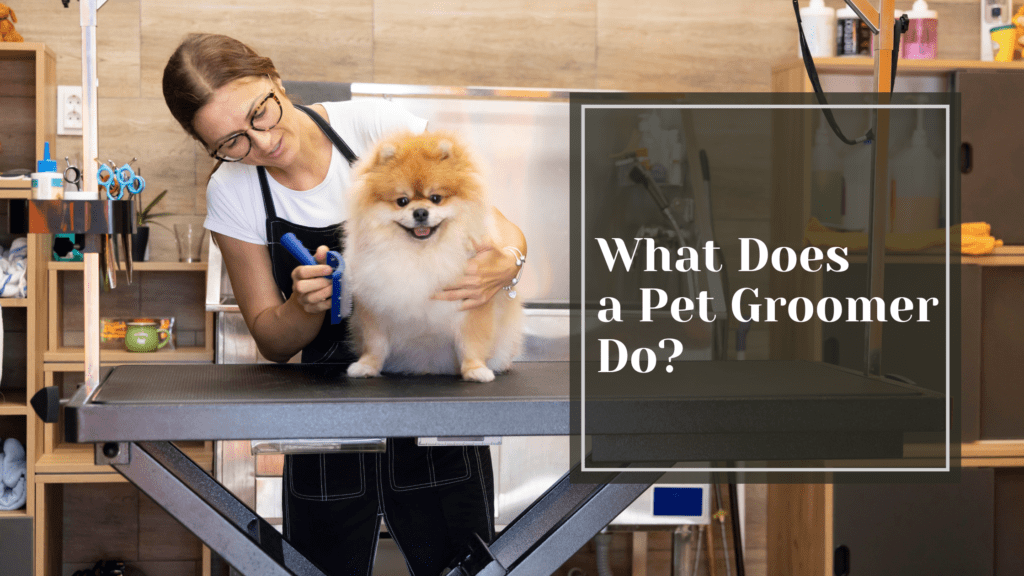 What Does a Pet Groomer Do?