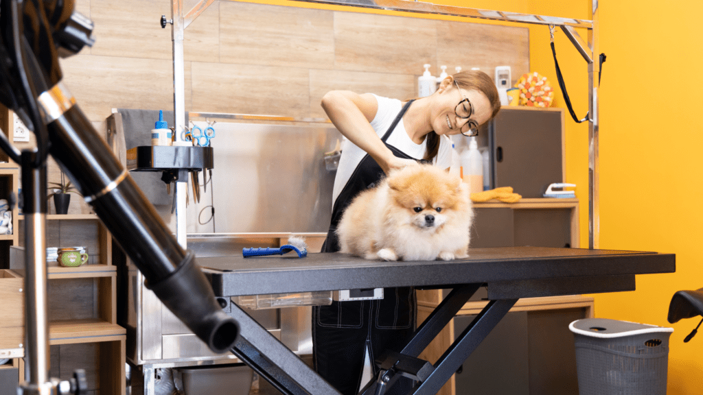 What Are the Qualifications and Certifications Required to be A Pet Groomer
