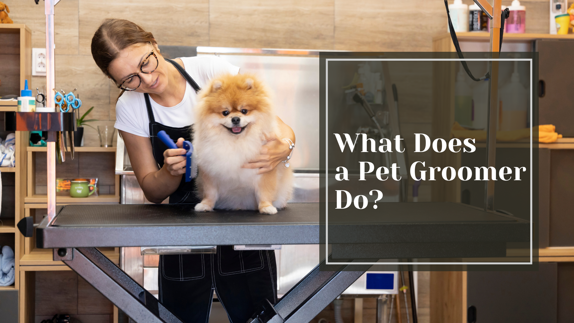 What Does a Pet Groomer Do?