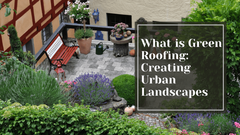 What is Green Roofing: Creating Urban Landscapes
