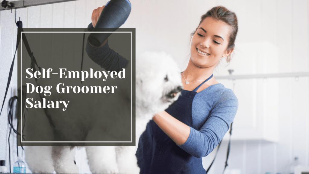 Self-Employed Dog Groomer Salary