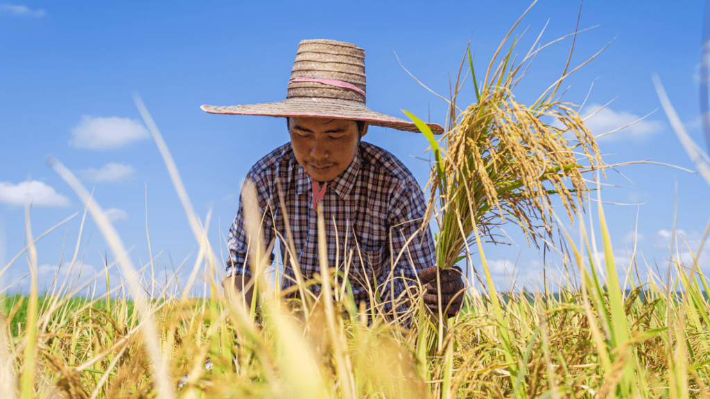 how to become a farmer