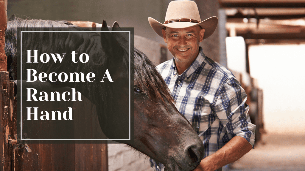How to Become a Ranch Hand
