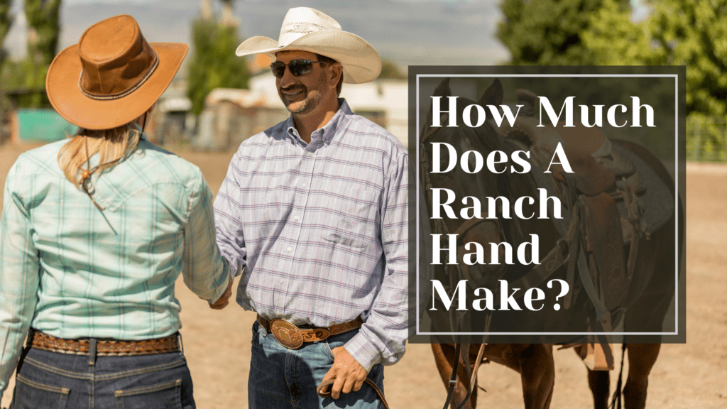 How Much Does a Ranch Hand Make?