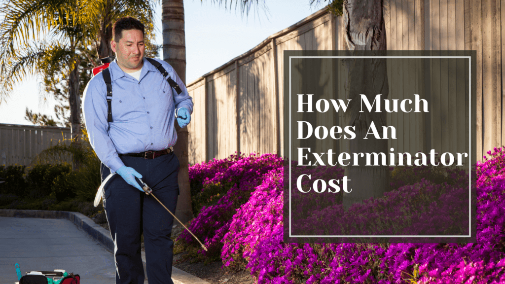 How Much Does An Exterminator Cost