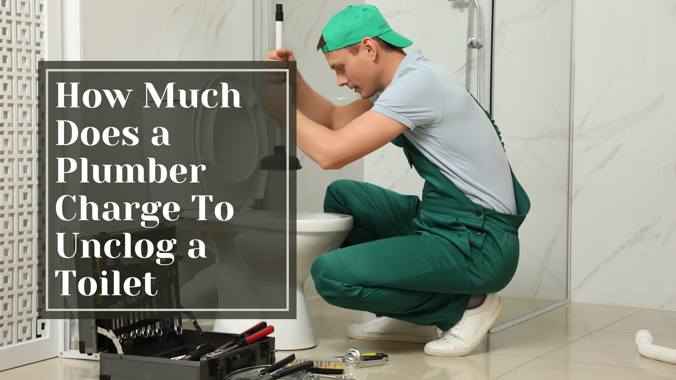 How Much Does a Plumber Charge To Unclog a Toilet