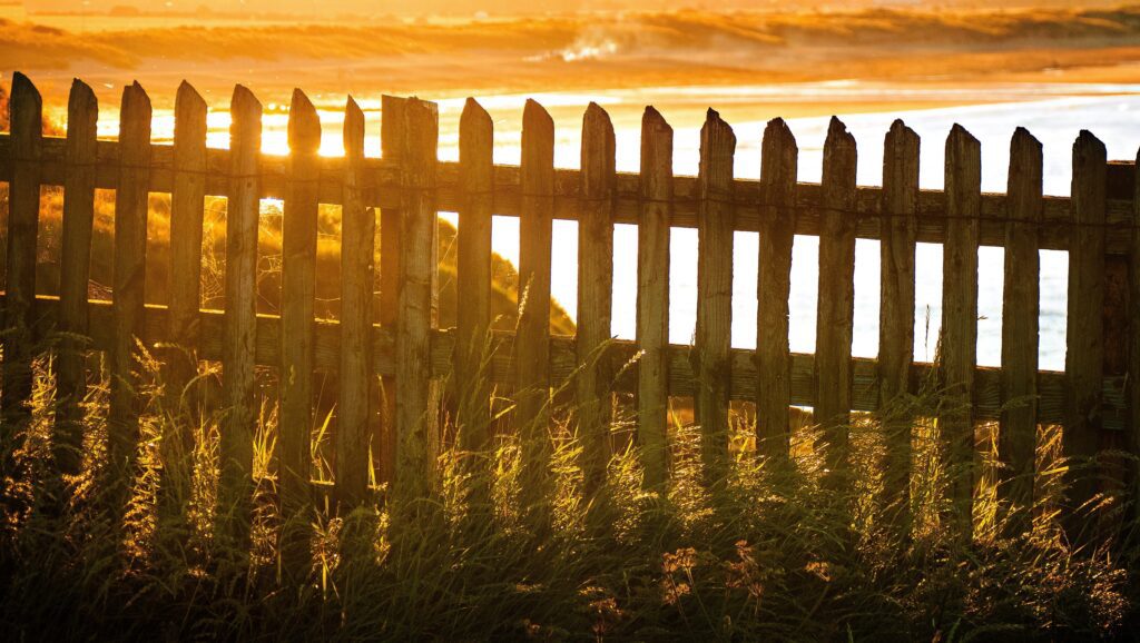 types of wooden fences