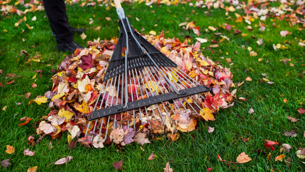 Autumn Home Maintenance Checklist