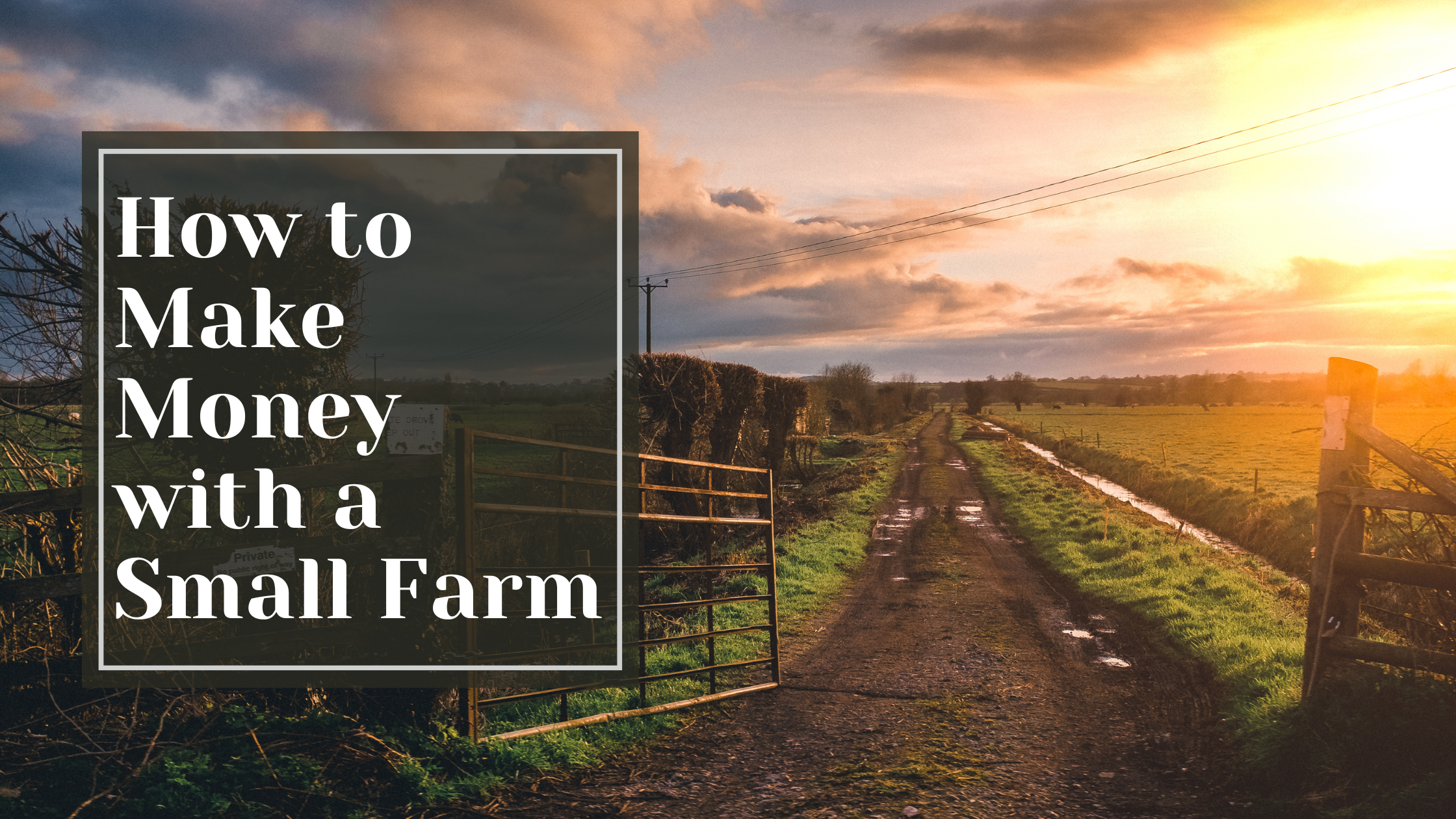 How to Make Money with a Small Farm