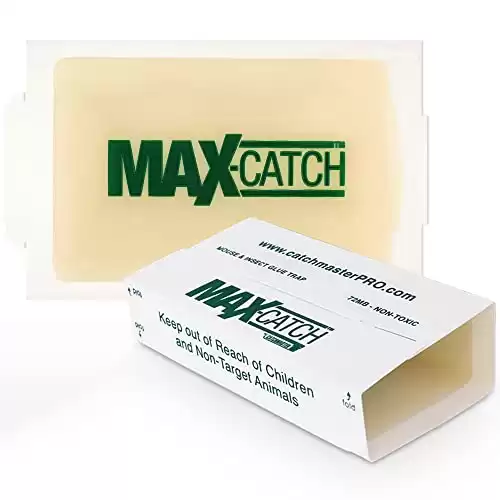 Pest Glue Trap by Catchmaster - 36 Boards Pre-Baited, Ready to Use Indoors