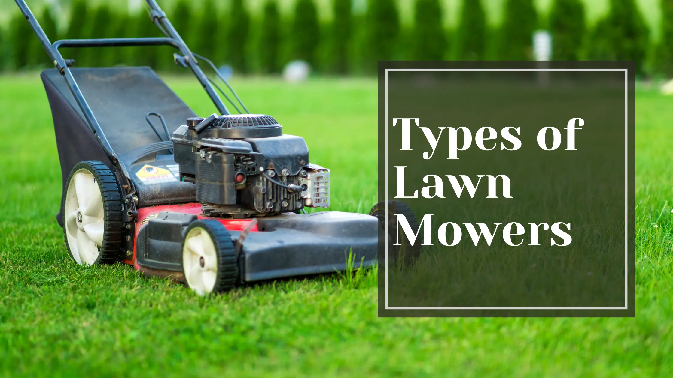 Talking Tradesmen: Types of Lawn Mowers - Discover the Perfect Mower for Your Lawn