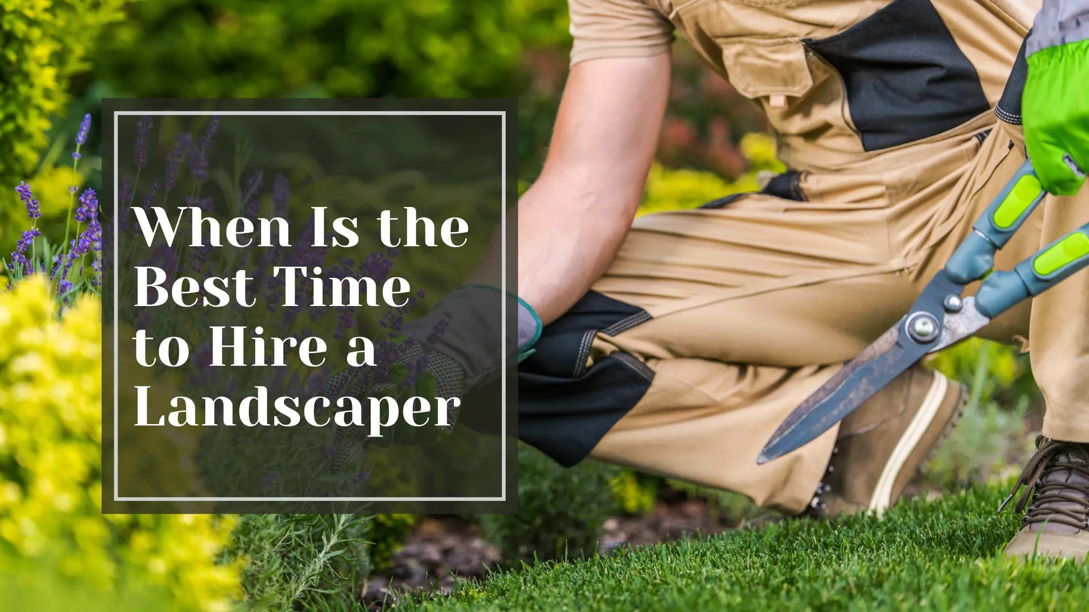 When is the Best Time to Hire a Landscaper - Talking Tradesmen