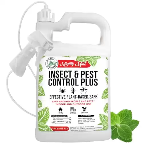 Insect & Pest Control Plus