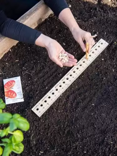 Gardeners Supply Company Planting Ruler and Dibber