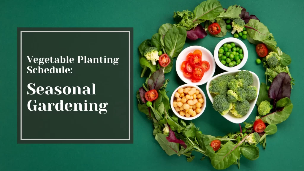 Vegetable Planting Schedule: Seasonal Gardening