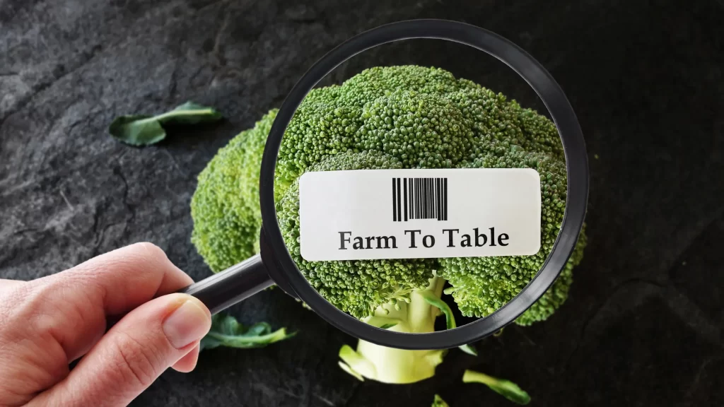 Broccoli under a magnifying glass, exploring 'What is Farm to Table' in a barcode