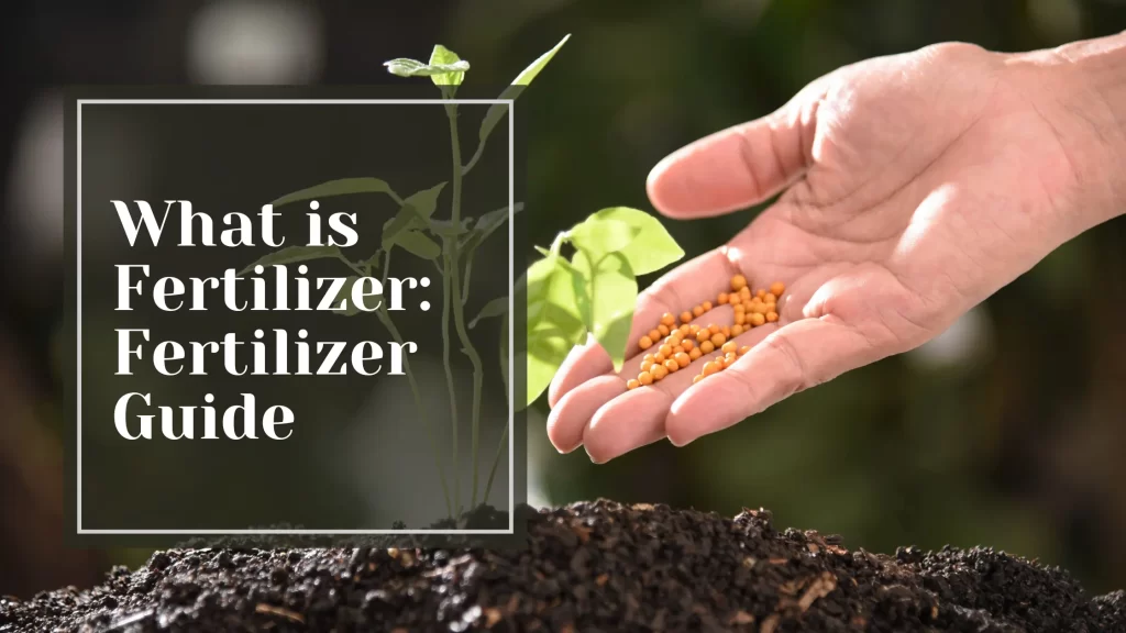 What is Fertilizer: Fertilizer Guide 