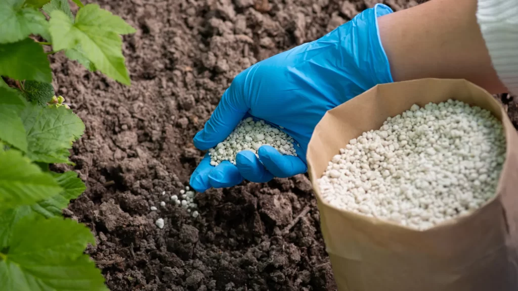 What is Fertilizer - Nitrogen - Phosphorus - and Potassium