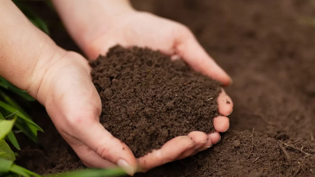 What is Fertilizer - Seasonal Application of Fertilizer