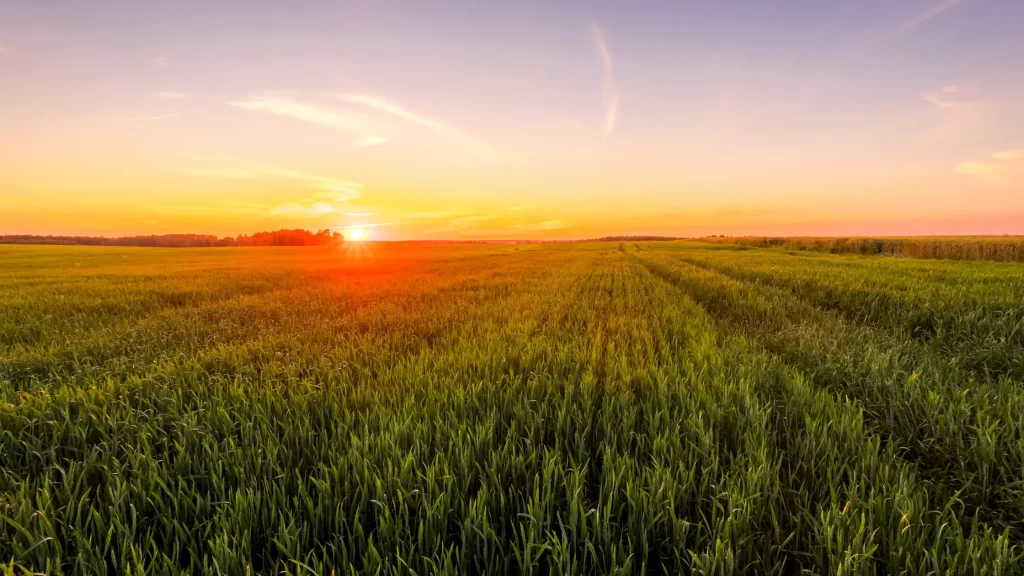 Sunset over an Agricultural Field - Embracing CSA Practices for the Future