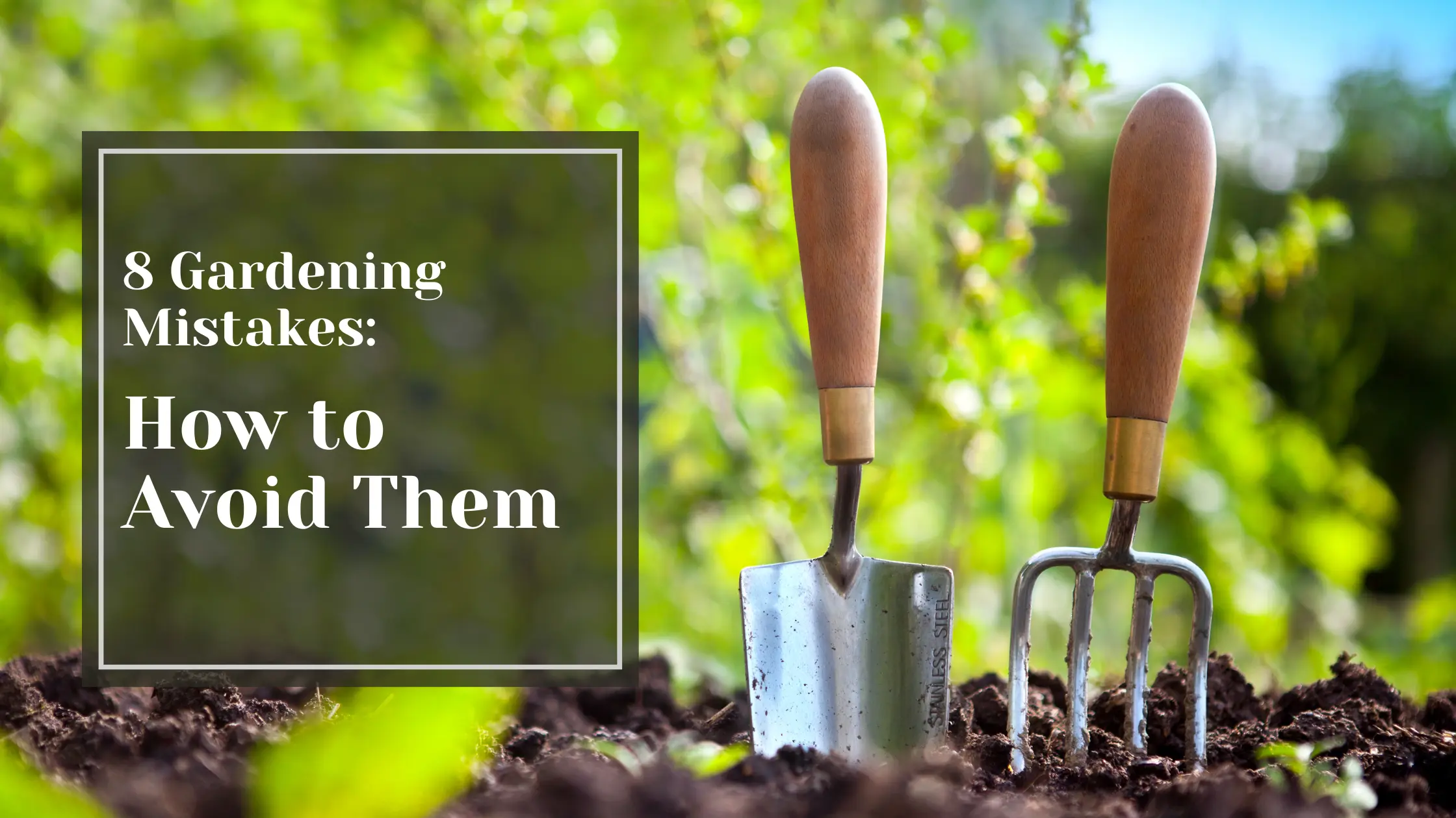 8 Gardening Mistakes: How to Avoid Them