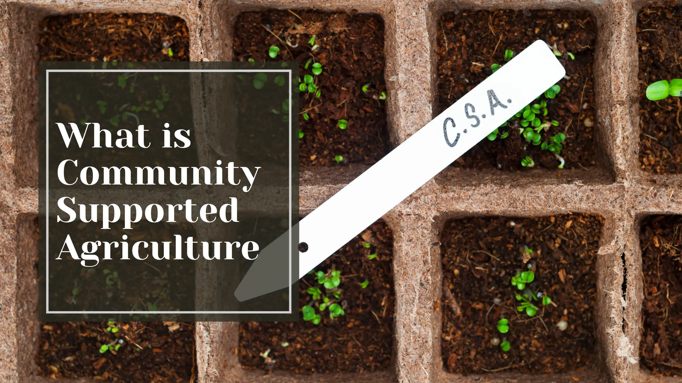 What is Community Supported Agriculture 