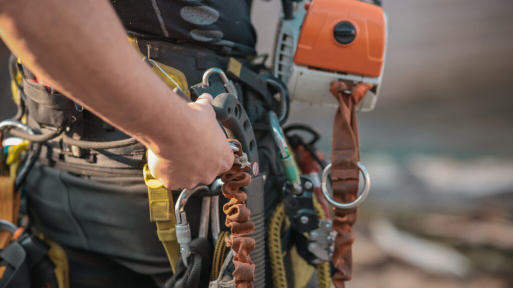 Arborist holding equipment, illustrating factors that influence how much an arborist costs for various tree services