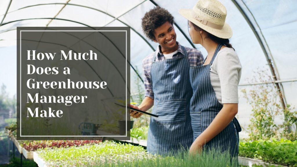 How Much Does a Greenhouse Manager Make - Talking Tradesmen