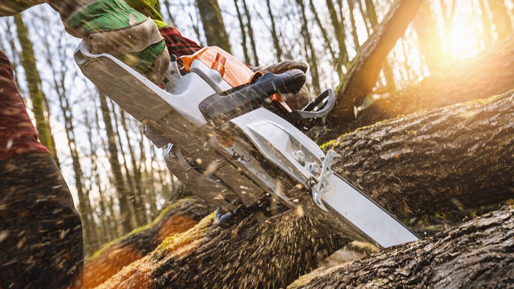 Arborist Using Chainsaw To Cut Tree, Demonstrating Hands-On Skills Essential In How To Become An Arborist Profession